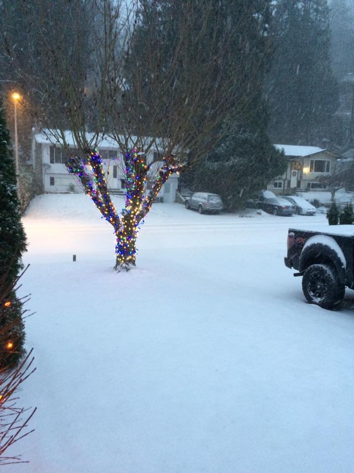 PHOTOS Snow falls on Vancouver Island, Vancouver and the Fraser Valley