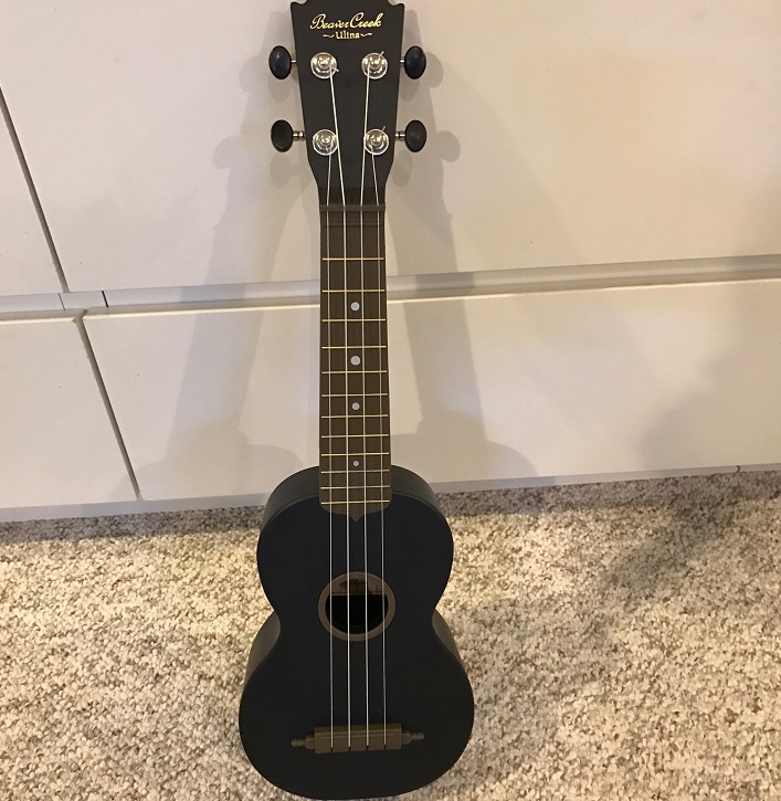 Alysha Martel took a picture of the ukulele she regrettably ordered with 5,000 Air Miles that were set to expire at the end of the year.