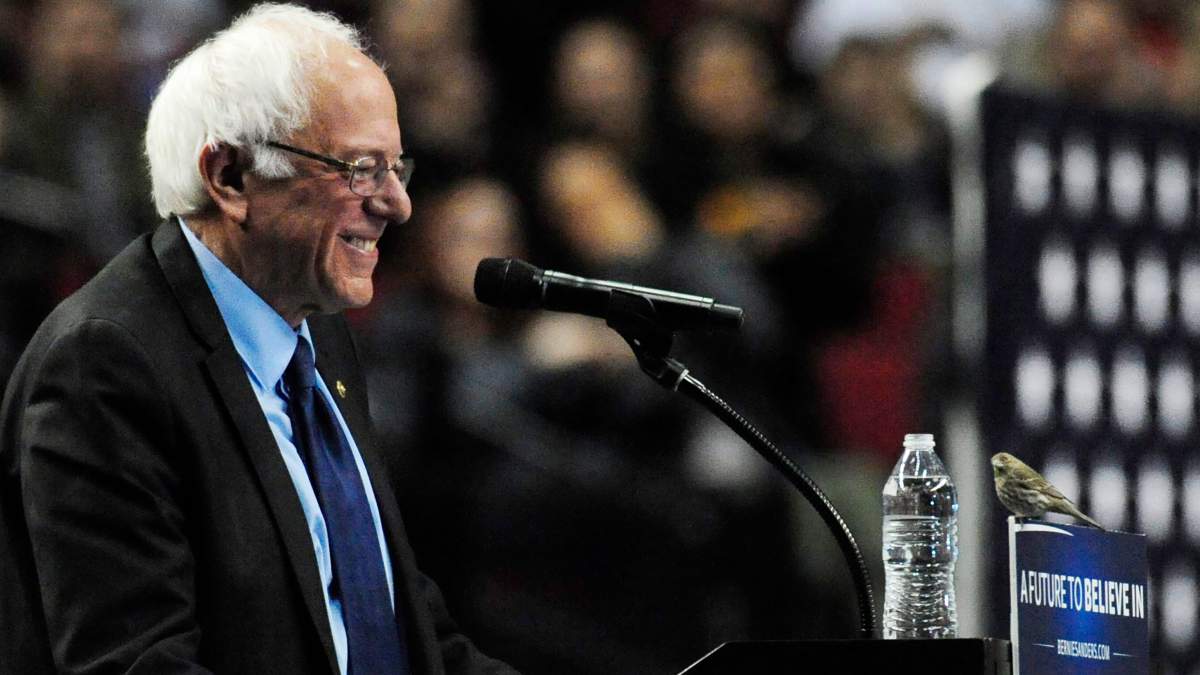 Democratic presidential candidate Bernie Sanders smiles as a bird lands on his podium when he addresses the crowd during a rally at the Moda Center in Portland, Ore., Friday, March 25, 2016. (AP Photo/Steve Dykes).