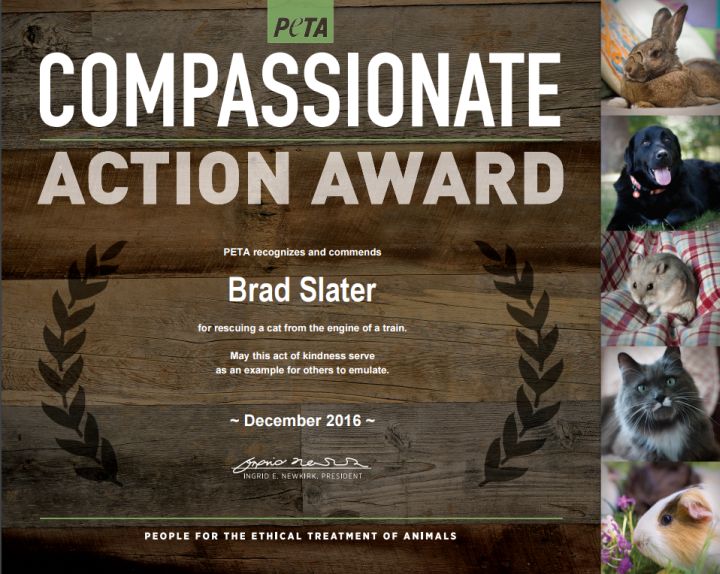 A picture of the award PETA is giving to Brad Slater, the train conductor who saved Q199 the train cat.