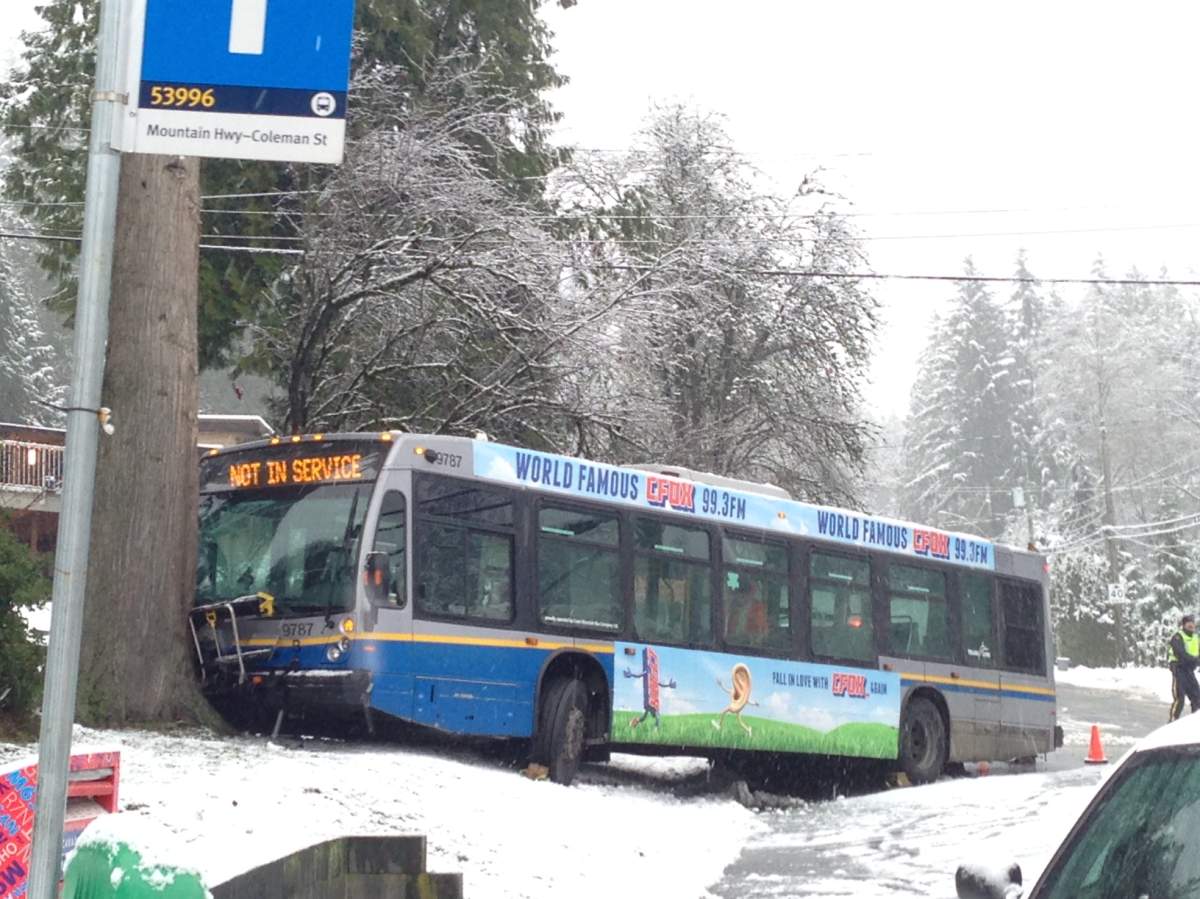 Snow falls across Vancouver, Lower Mainland, closing schools, snarling traffic - image
