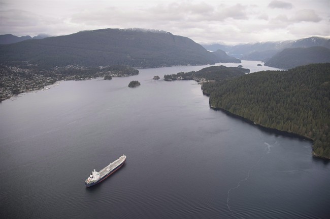 A tanker is anchored in Burrard Inlet just outside of Burnaby, B.C., on Friday, Nov. 25, 2016.
