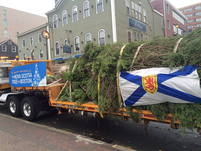 FILE: A transport truck heads from downtown Halifax with a Christmas tree bound for Boston on Wednesday, Nov. 16, 2016. 