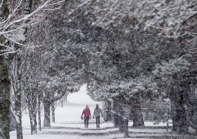 Pedestrians are framed by a canopy of trees as snow falls in Vancouver, B.C., on Friday December 9, 2016. 