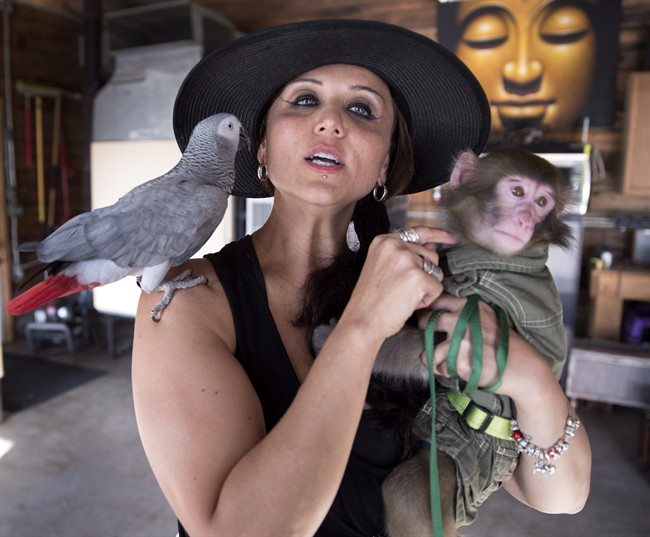 Yasmin Nakhuda is shown at her home in Pontypool, Ont., with her exotic pet parrot Kilpatrick and monkey Caesar in an August 20, 2016, file photo. 