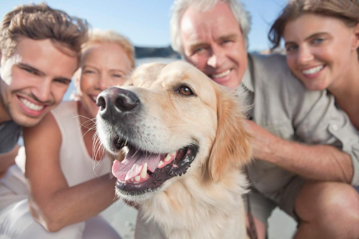 A Saskatoon judge has ruled that dogs should be considered property and not children. Is he right?.