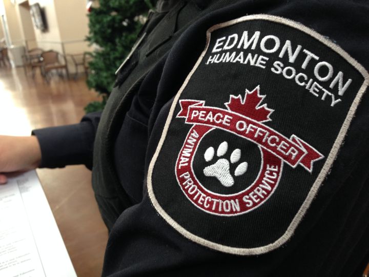 Edmonton Humane Society animal control officer.