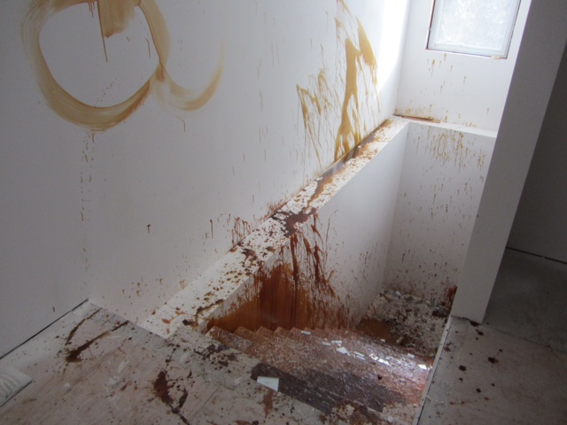 Police say a house under construction in Fredericton was damaged by vandals who smeared and splattered floor stain around the house. 