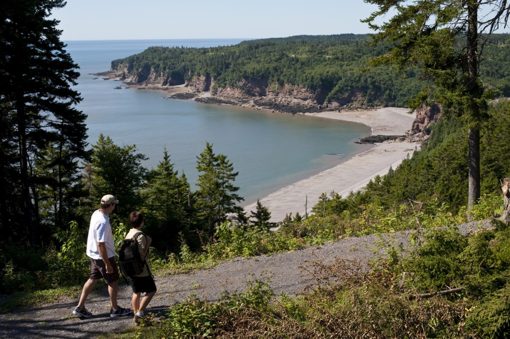 Gran río de salmones en el Fundy Trail Parkway de Nueva Brunswick