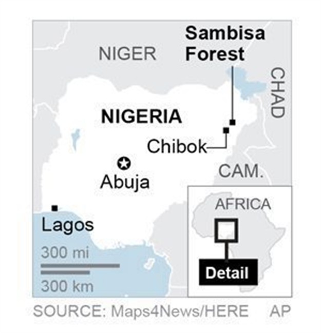 Boko Haram forced out of last enclave: Nigerian president - image