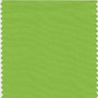 Greenery,” which is Pantone’s Color of the Year for 2017. It’s also known as Pantone 15-0343.