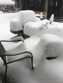 Hope. Credit: Lesley Talarico