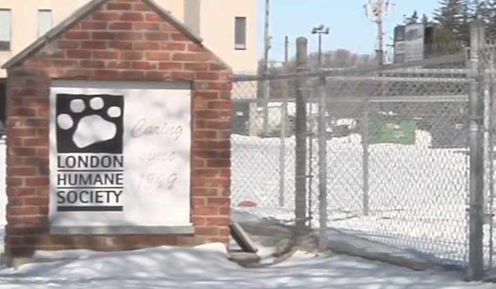 The London Humane Society is seen in this file photo.