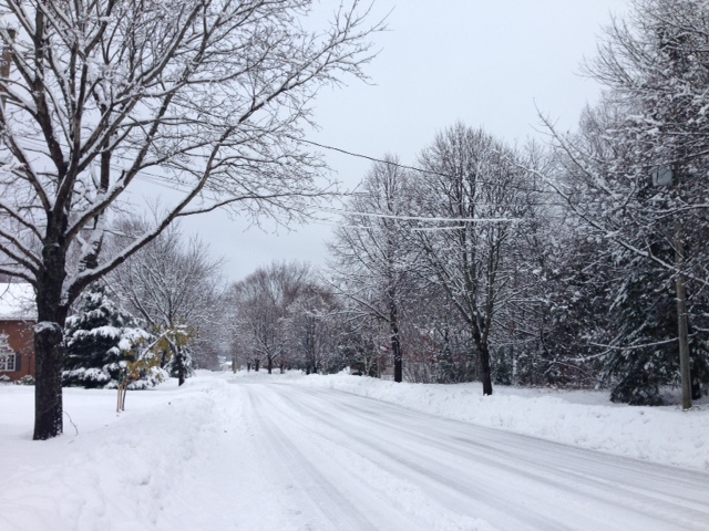 Most of Nova Scotia, New Brunswick under weather warning - image