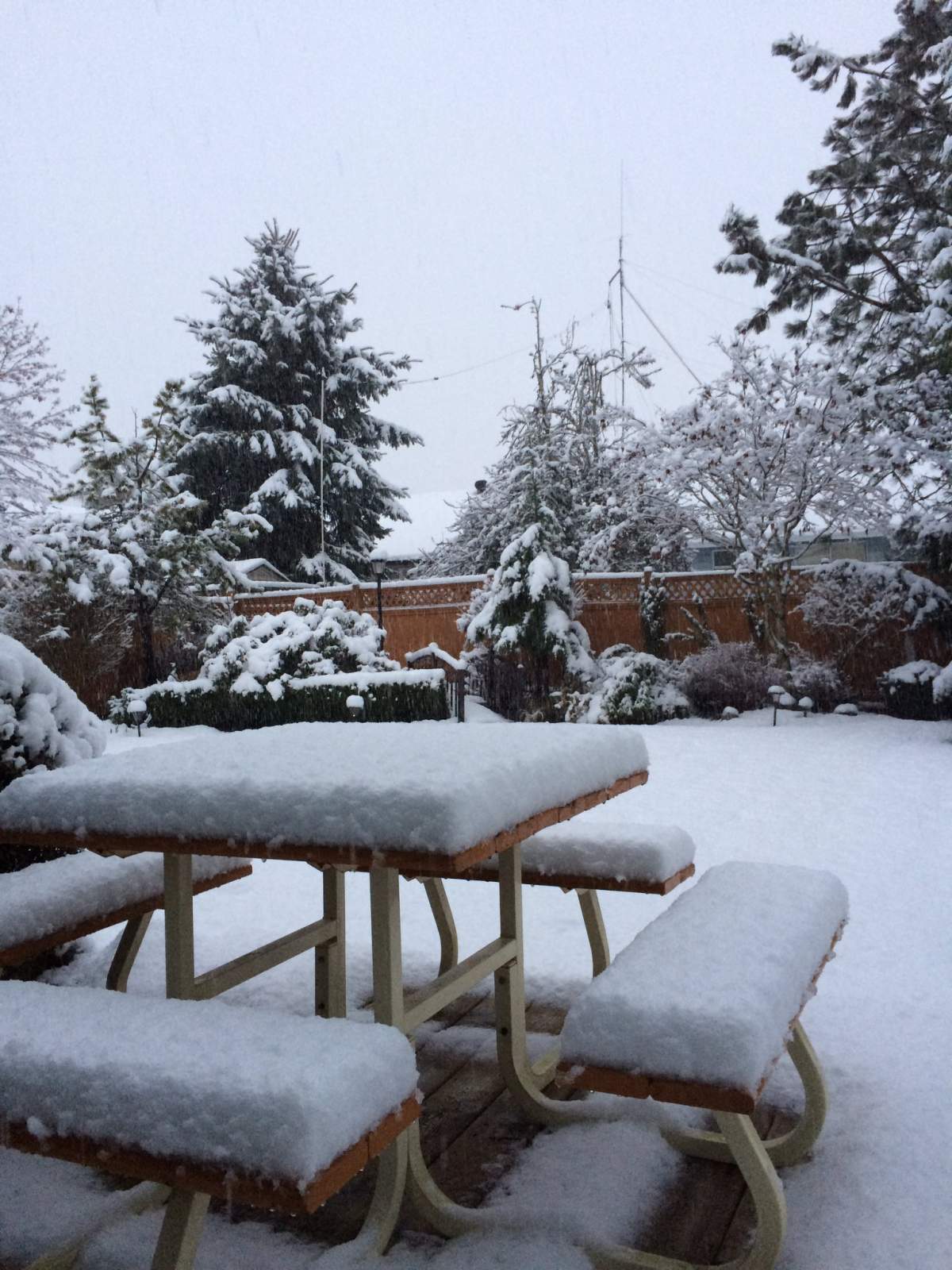 Surrey received about 10 cm of snow Monday. Photo: Kyle Marshall