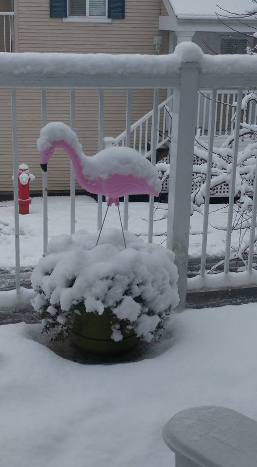 Langley. Credit: Erin Holliday Engstrom