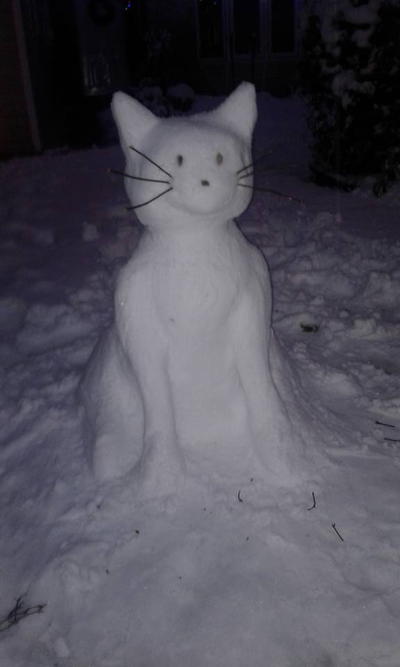 A purr-fect way to spend a snow day. Photo: Manor Mani