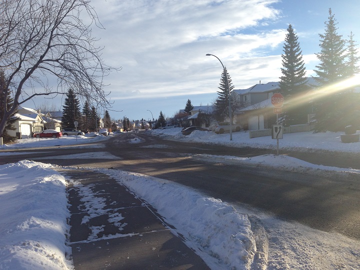 A woman walking her dog was rushed to hospital after she was hit in a northwest Calgary crosswalk.
