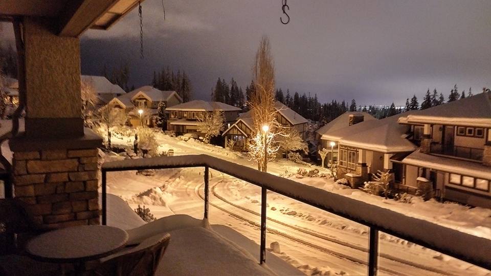 Heritage Woods, Port Moody. Credit: Kevin Gallagher