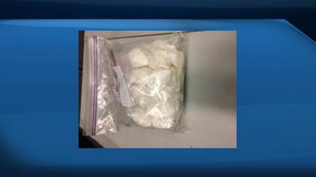 Cocaine, meth seized in Prince Albert, Sask. drug bust - Saskatoon ...