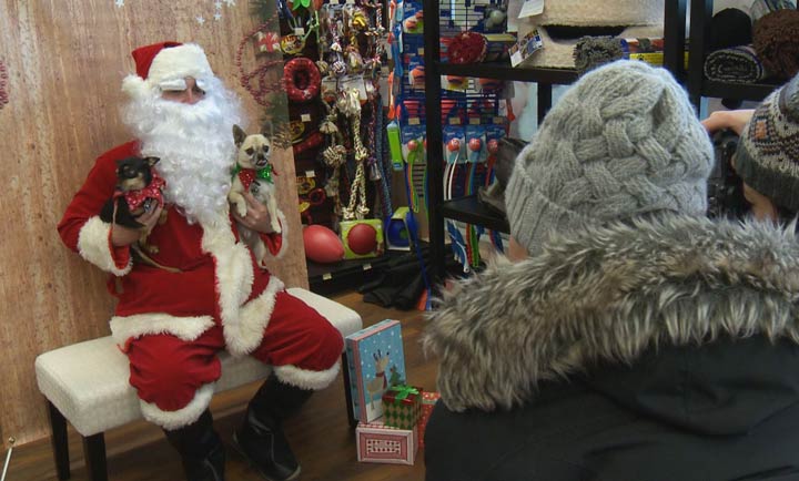 Santa took photos with dogs and puppies to support Bright Eyes Dog Animal Rescue.