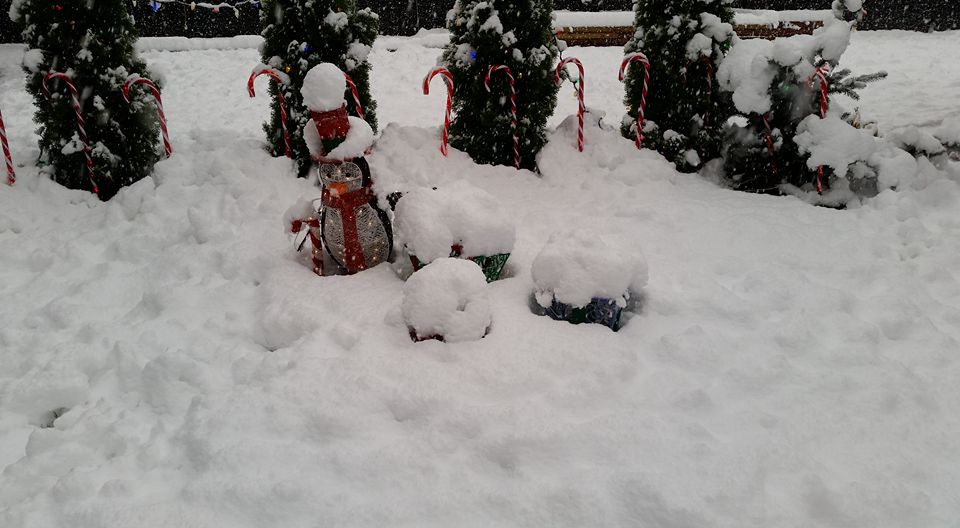 Christmas decorations look great in snow. Photo: Sarah Miller
