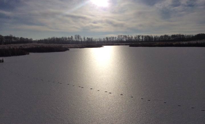 Dec. 10: This Your Saskatchewan photo was taken by Eldon Laird north of Prince Albert.