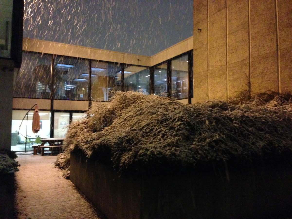 Snow is falling outside the Global BC studios in Burnaby.