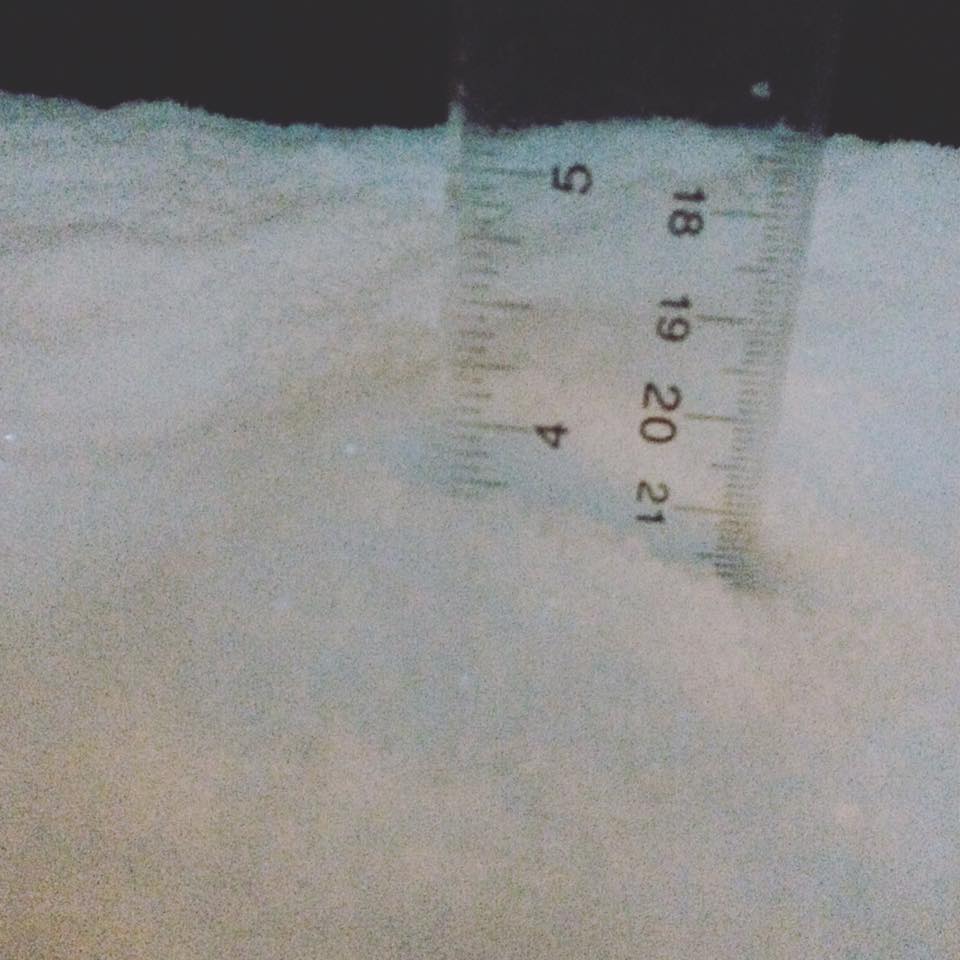 Langley. Credit: Tina Taphouse