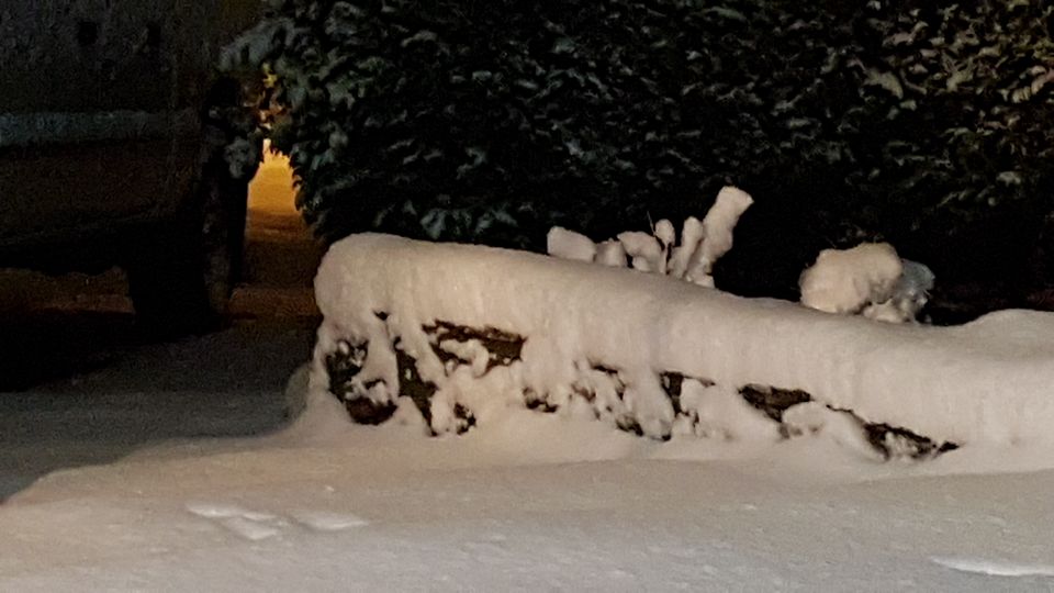 South Surrey Monday morning. Credit: Andrea Viznar‎