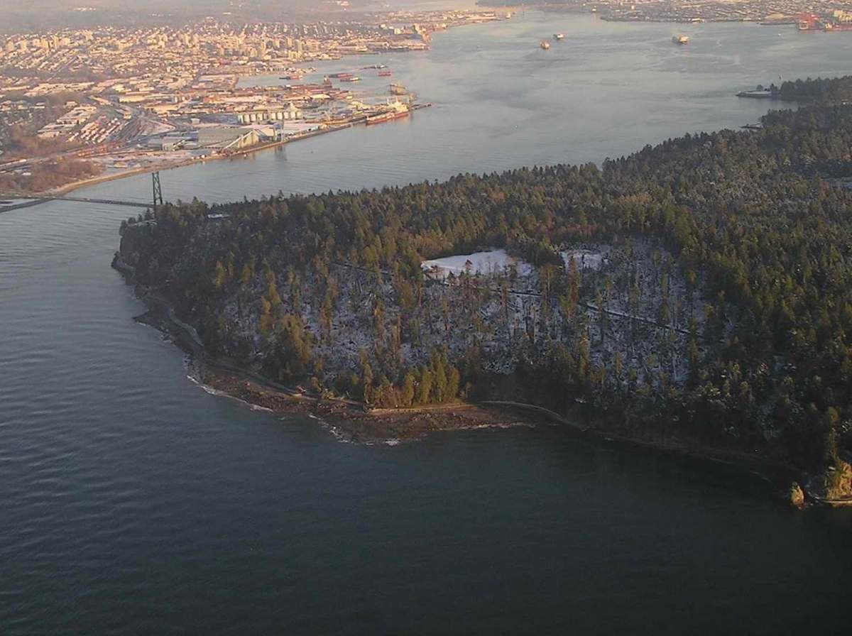 10 years since major windstorm hit Stanley Park - image