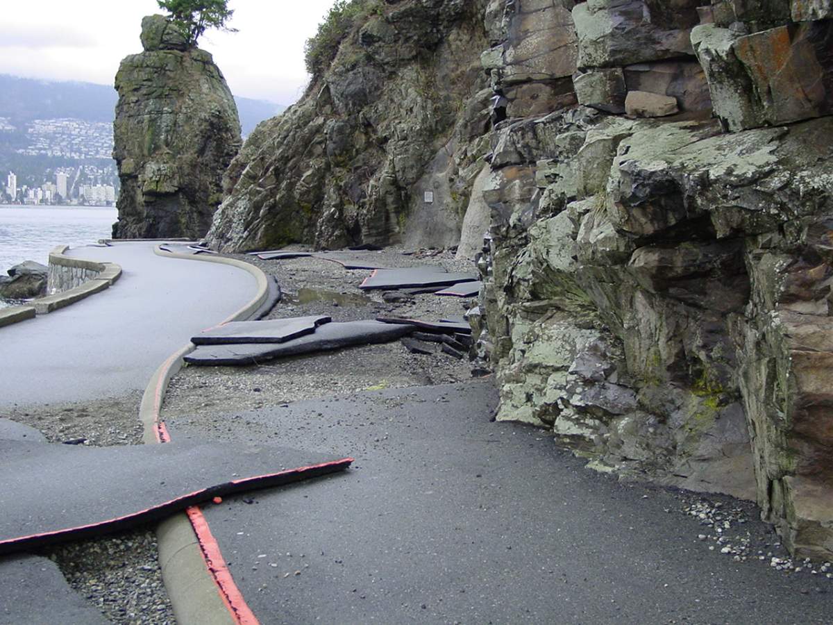 10 years since major windstorm hit Stanley Park - image