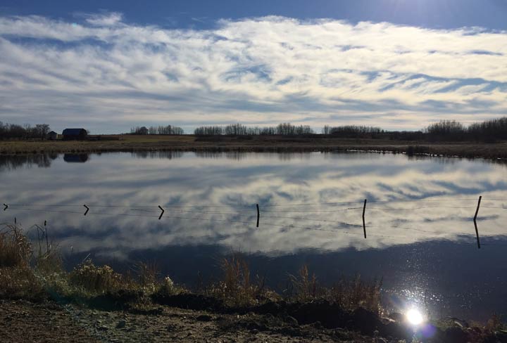 Dec. 4: This Your Saskatchewan photo was taken by Jason Field near Waldheim.