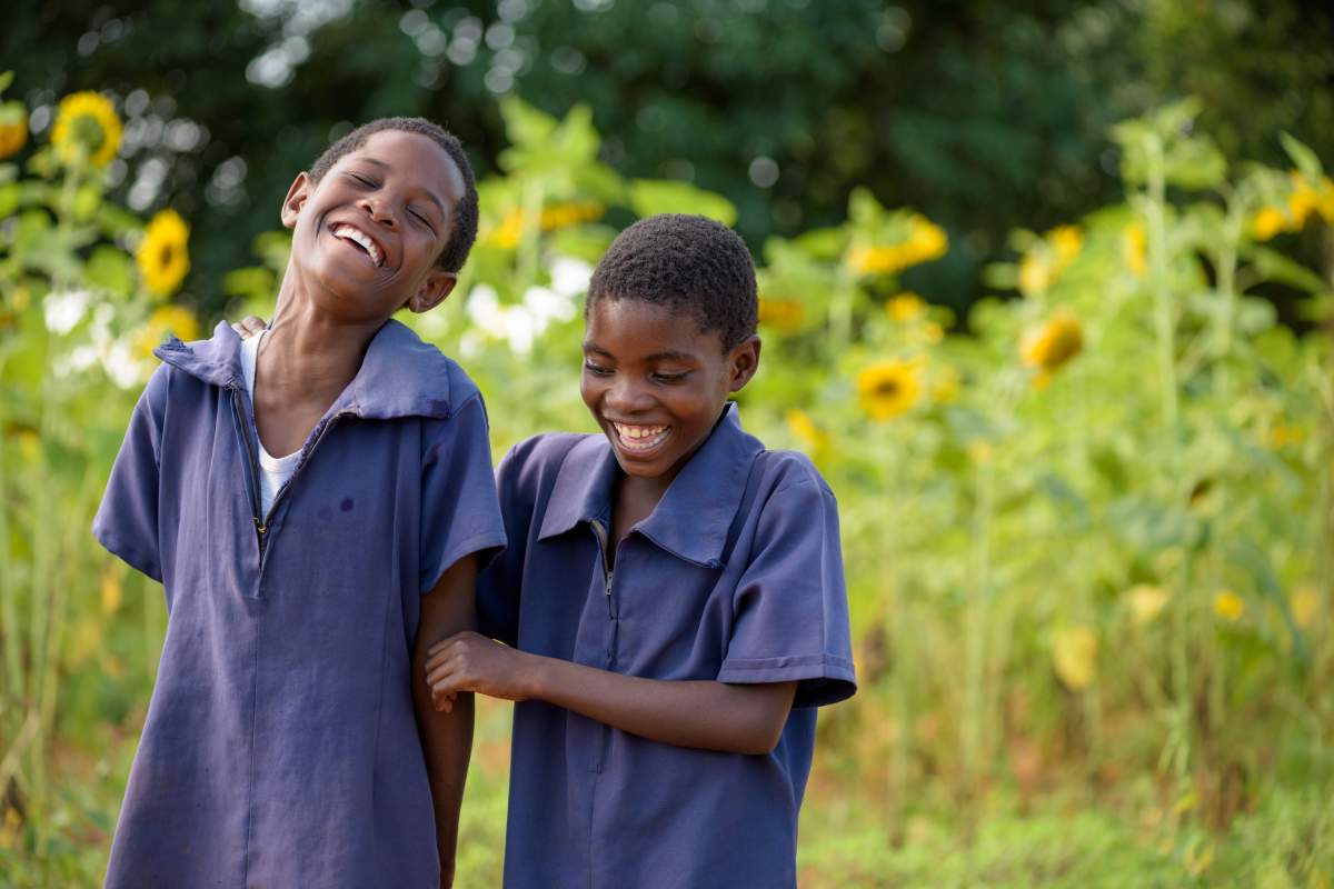 How one goat can save a family - image