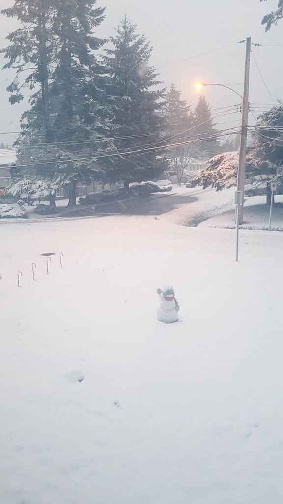 Tsawwassen. Credit: Matt Pitcairn