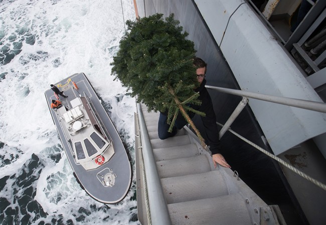 Steve Hnatko, of Tymac Tidal Transport, carries a Christmas tree up the gangway of the Hanjin Scarlet container ship during a visit by volunteers delivering donated food, supplies and gifts to the stranded crew, near Saturna Island, B.C., on Tuesday December 20, 2016. The B.C. Ferry and Marine Workers' Union, the International Longshore and Warehouse Union and the Victoria Filipino Canadian Association organized the care packages for the crew, some of whom have been stuck onboard the vessel for three and a half months after the shipping company Hanjin filed for bankruptcy in August.