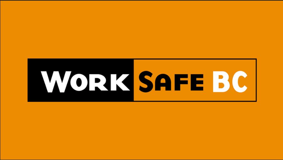 WorksafeBC investigating after worker injures head at excavation site - image