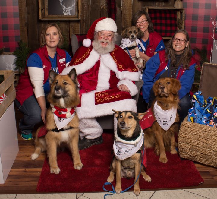 Meet some furry friends while you wait for your flight.