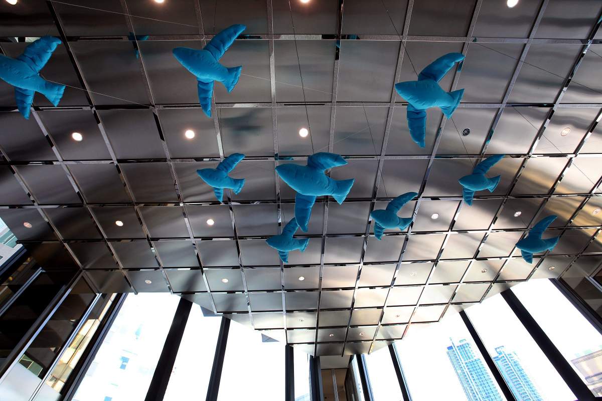 Air Pressure, an art installation of more than 200 air-inflatable bird-like sculptures uniquely designed to inflate and deflate with “breathing animation” to mimic flight patterns, at Royal Bank Plaza at 200 Bay Street in downtown Toronto on April 17, 2012. (Deborah Baic/The Globe and Mail)