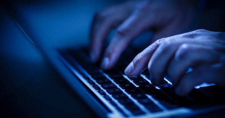 Suspected cyberattack in N.L. hits ‘brain’ of province’s health care system