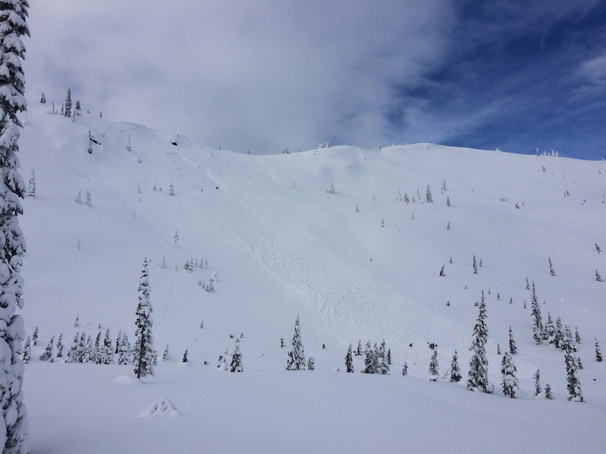 A submitted picture of an avalanche that occurred near Cabin Peak on Jan. 20, according to Avalanche Canada.