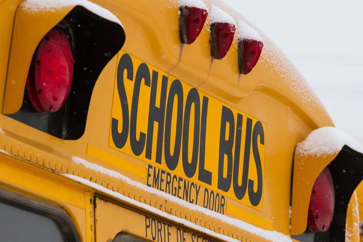 A school bus driving in Pembroke, Ont., collided with a passenger vehicle on Wednesday, OPP said.