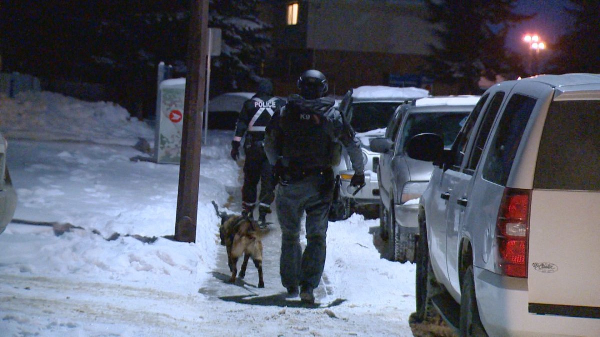 Calgary police surround a home in Radisson Heights on Thursday, Jan. 12, 2017. 
