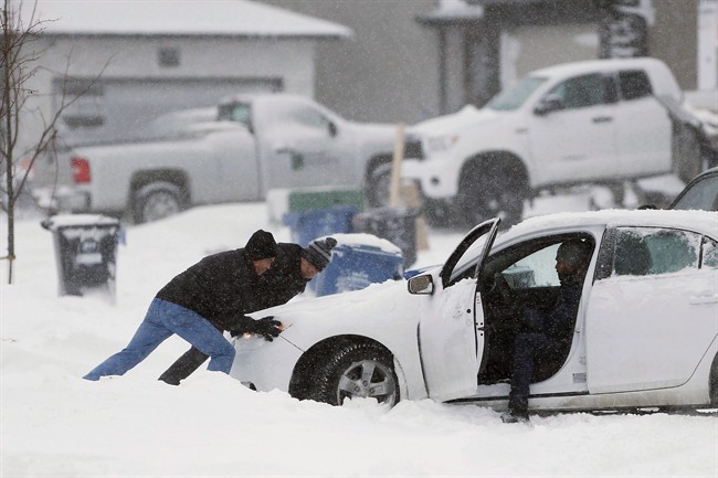 Weekend storm set to throw white blanket on southern Manitoba - image