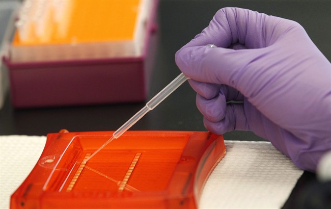 FILE - RCMP’s National Missing Persons DNA Program is now accepting biological samples and DNA profiles.