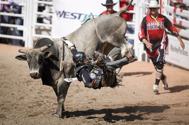 Ty Pozzobon, from Merritt, B.C., rides I'm a Gangsta in the bull riding event during finals rodeo action at the Calgary Stampede in Calgary, Alta., Sunday, July 13, 2014. The mother of Pozzobon is warning about the dangers of concussions.