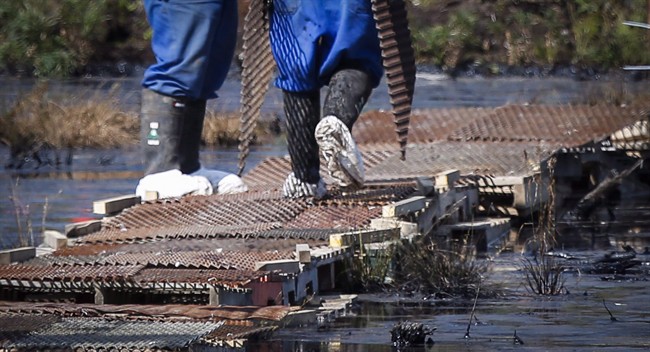 Human error, whether it's burying a pipeline too shallow or not fastening bolts tight enough, is increasingly a factor contributing to pipeline leaks, federal data suggests.