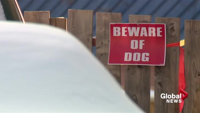 A pit bull in Pennsylvania escaped its yard and attacked two kids sitting in a minivan.