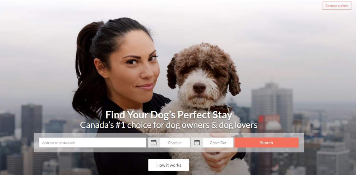GoFetch launches ‘Airbnb for dogs’ in Calgary - image