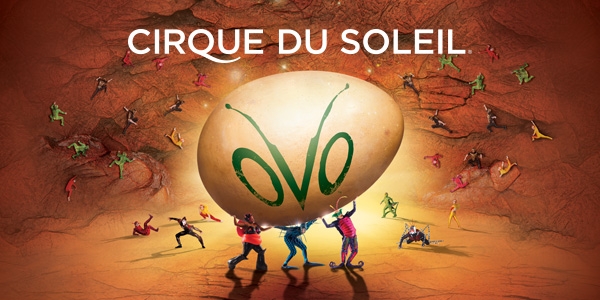 Cirque du Soleil: OVO - image